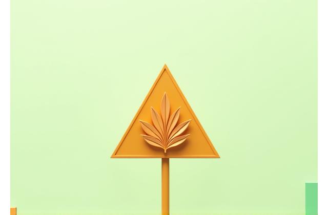 Abstract graphical warning sign with a leaf motif, representing disclaimers, in a calm, professional tone